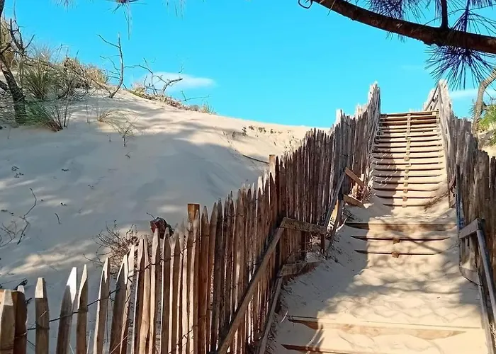 Grand Courlis By Interhome Daire Mimizan-Plage