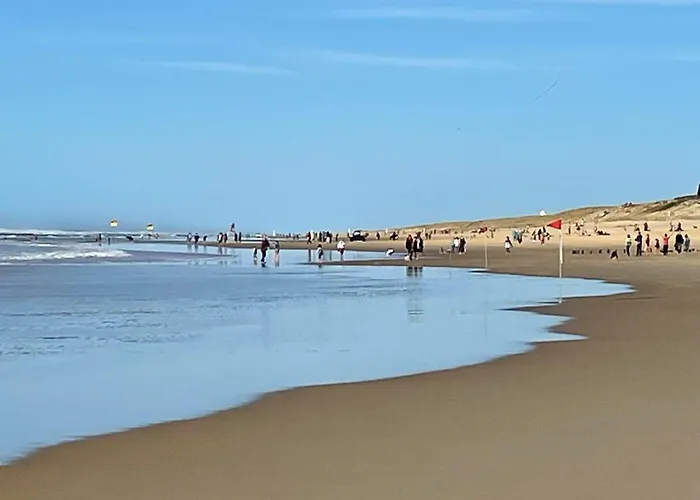 Grand Courlis By Interhome Mimizan-Plage