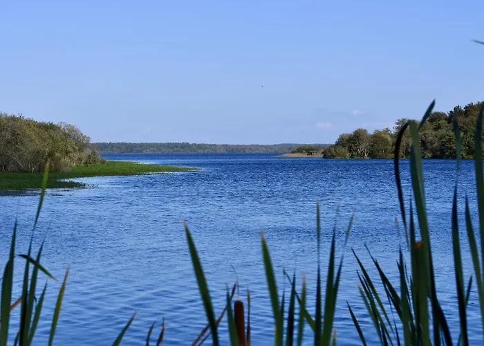 Grand Courlis By Interhome * Mimizan-Plage